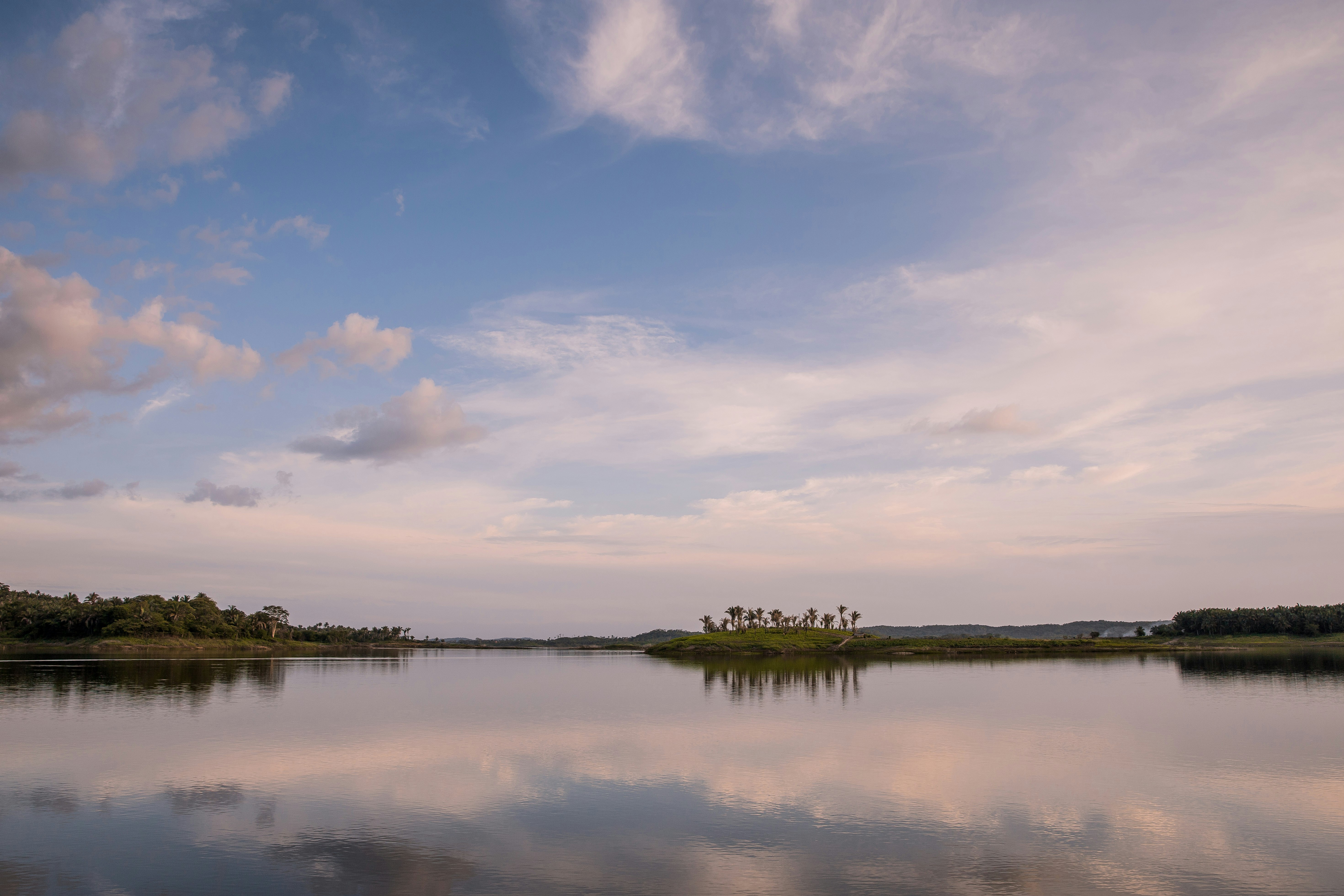 green trees near body of water under blue sky and white clouds during daytime